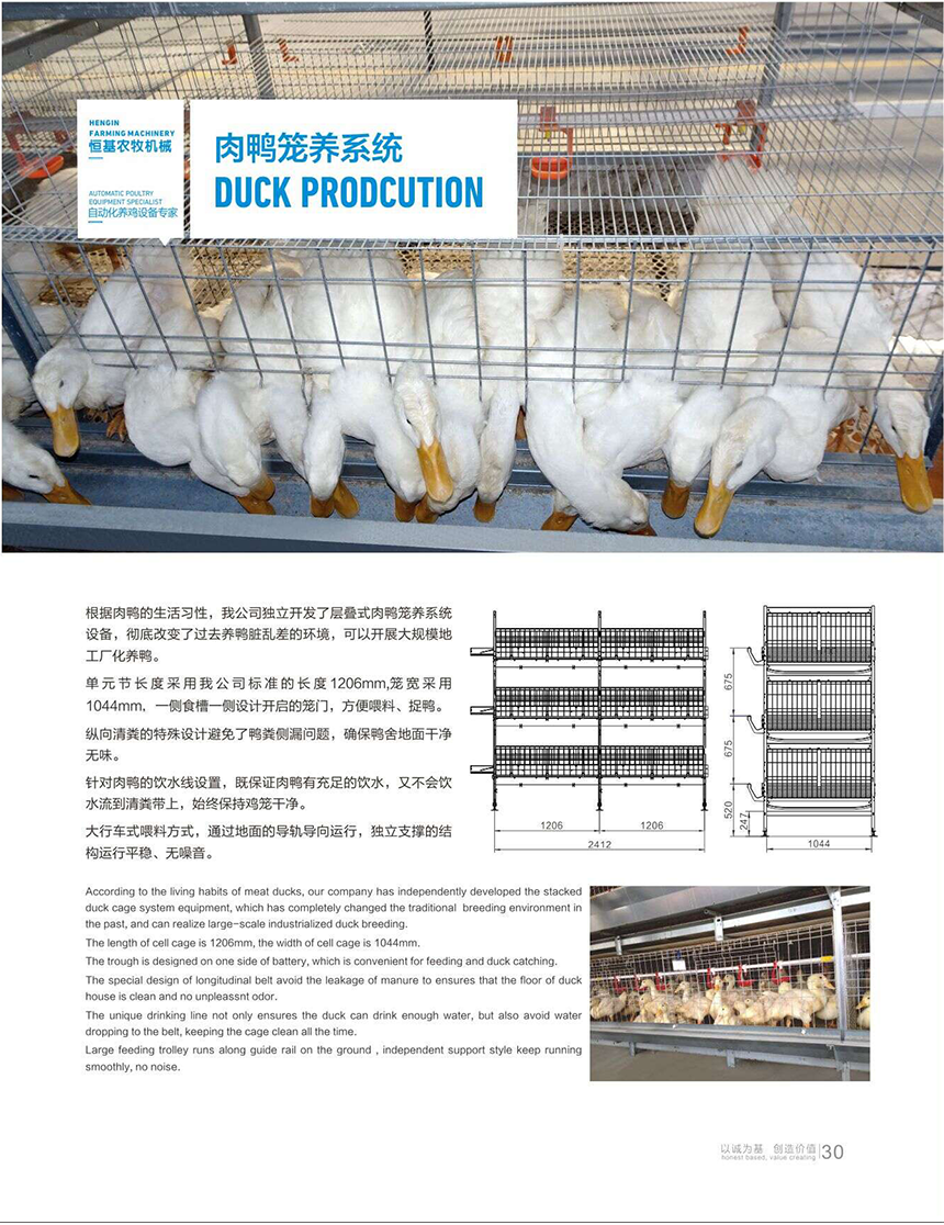 duck production cage